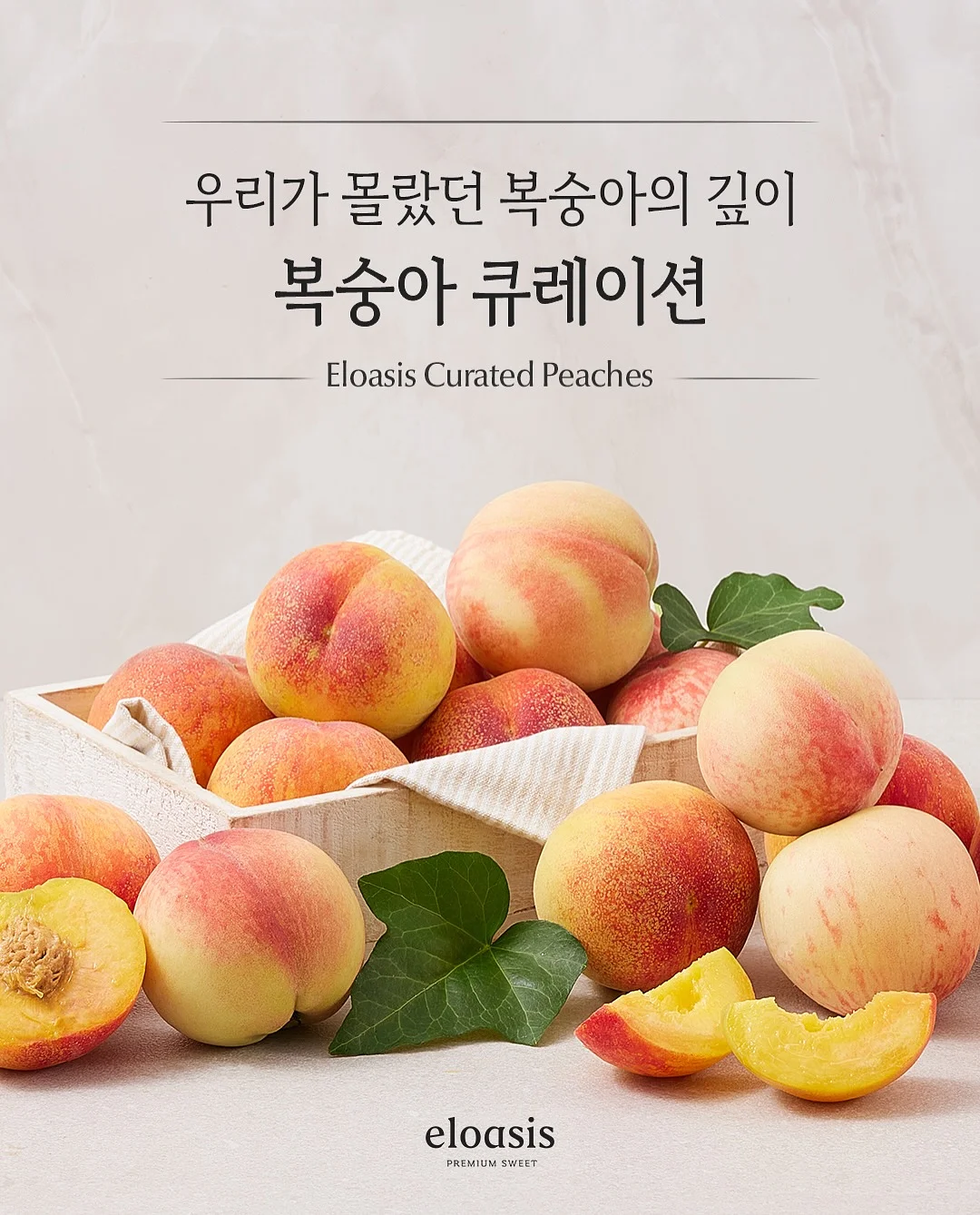 프리메라 마켓 1
