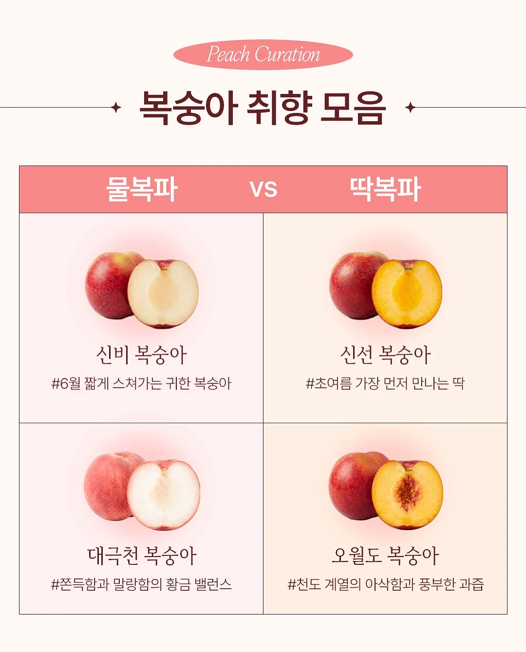 프리메라 마켓 2