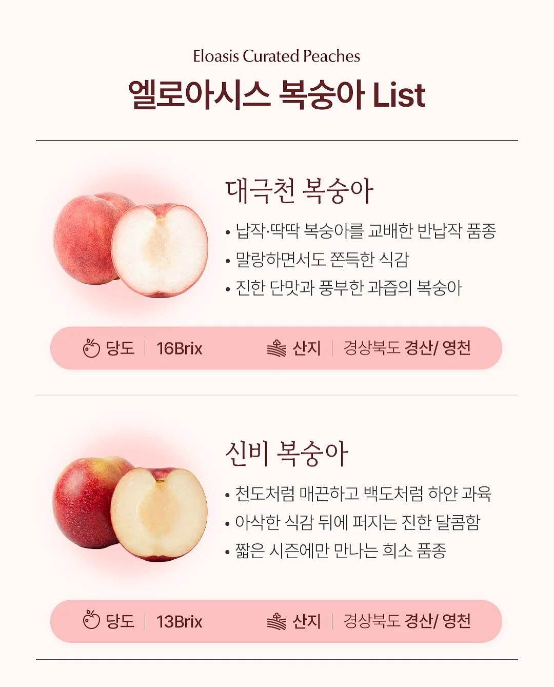 프리메라 마켓 4