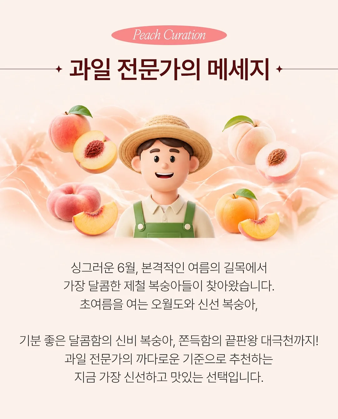 프리메라 마켓 6