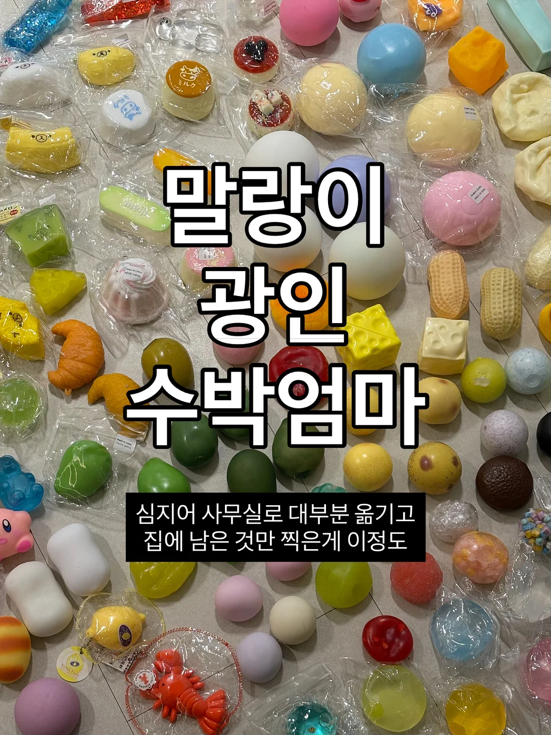 신상 셋업 1