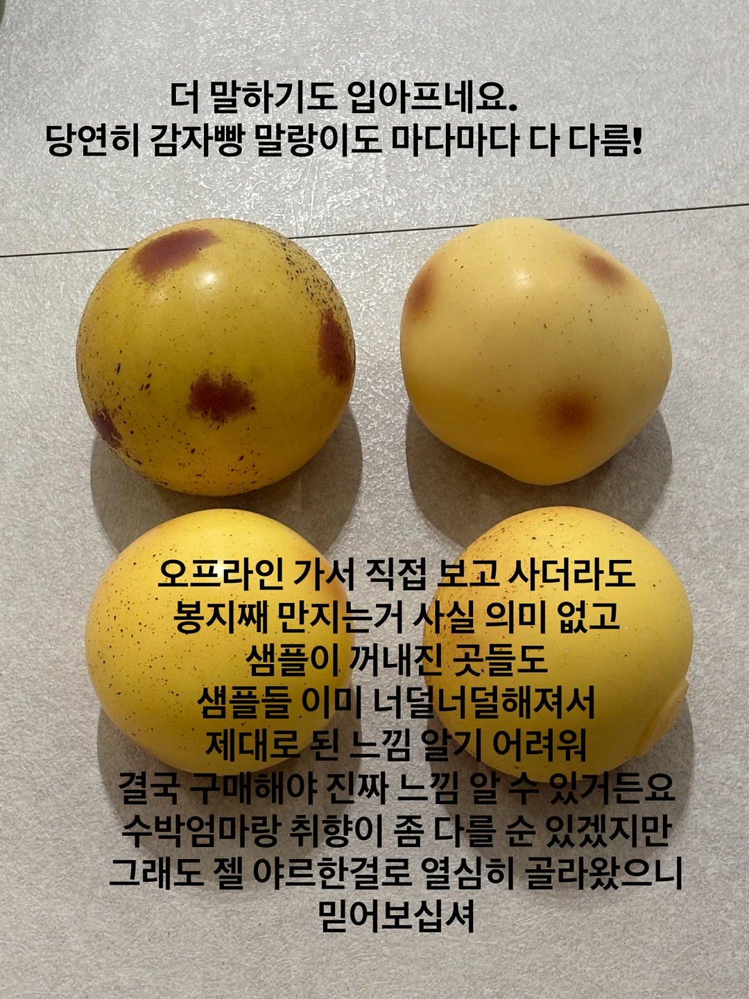 신상 셋업 5