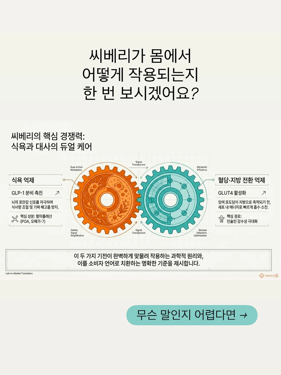 모리걸 키스컷 4