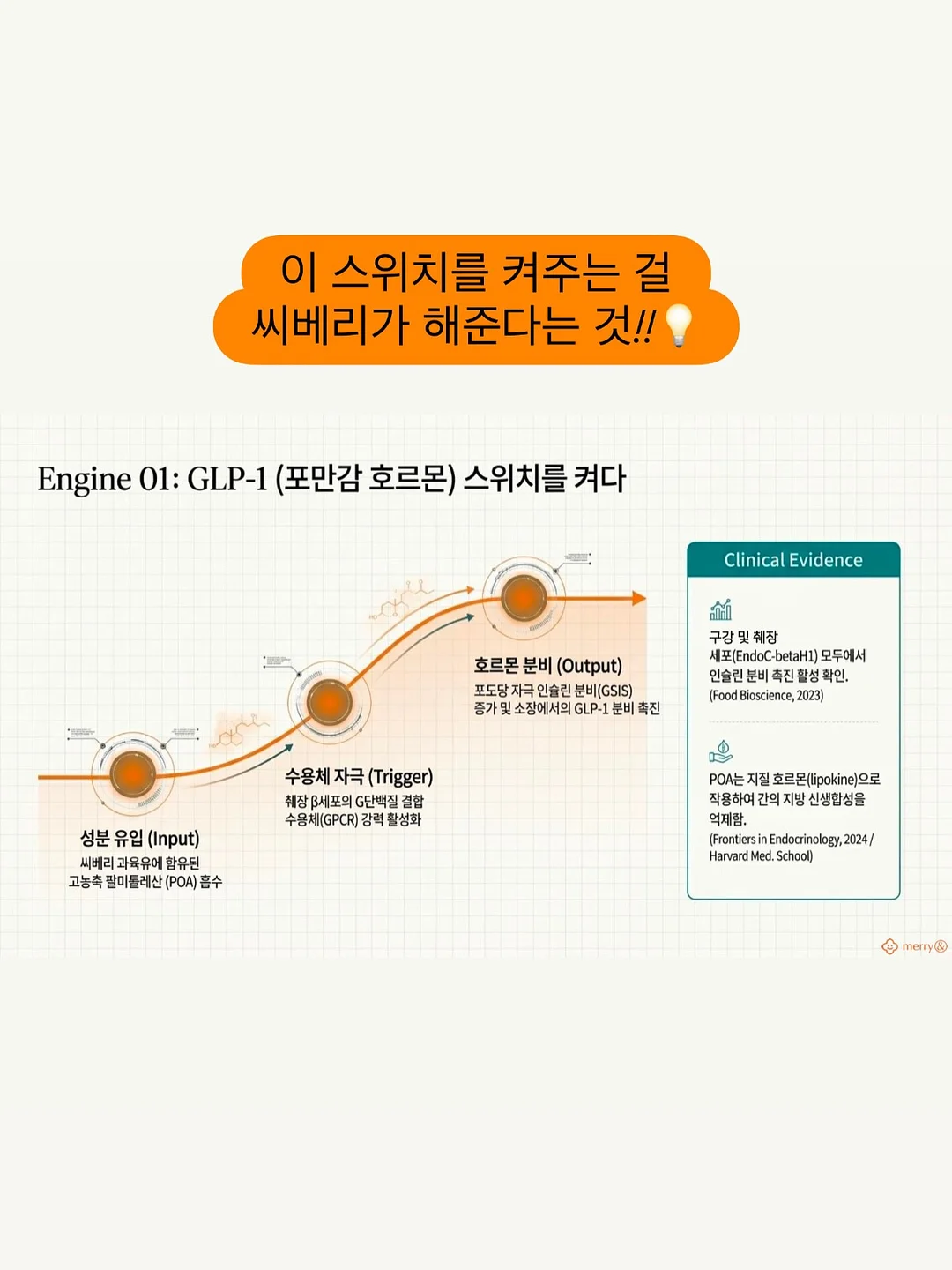 모리걸 키스컷 8