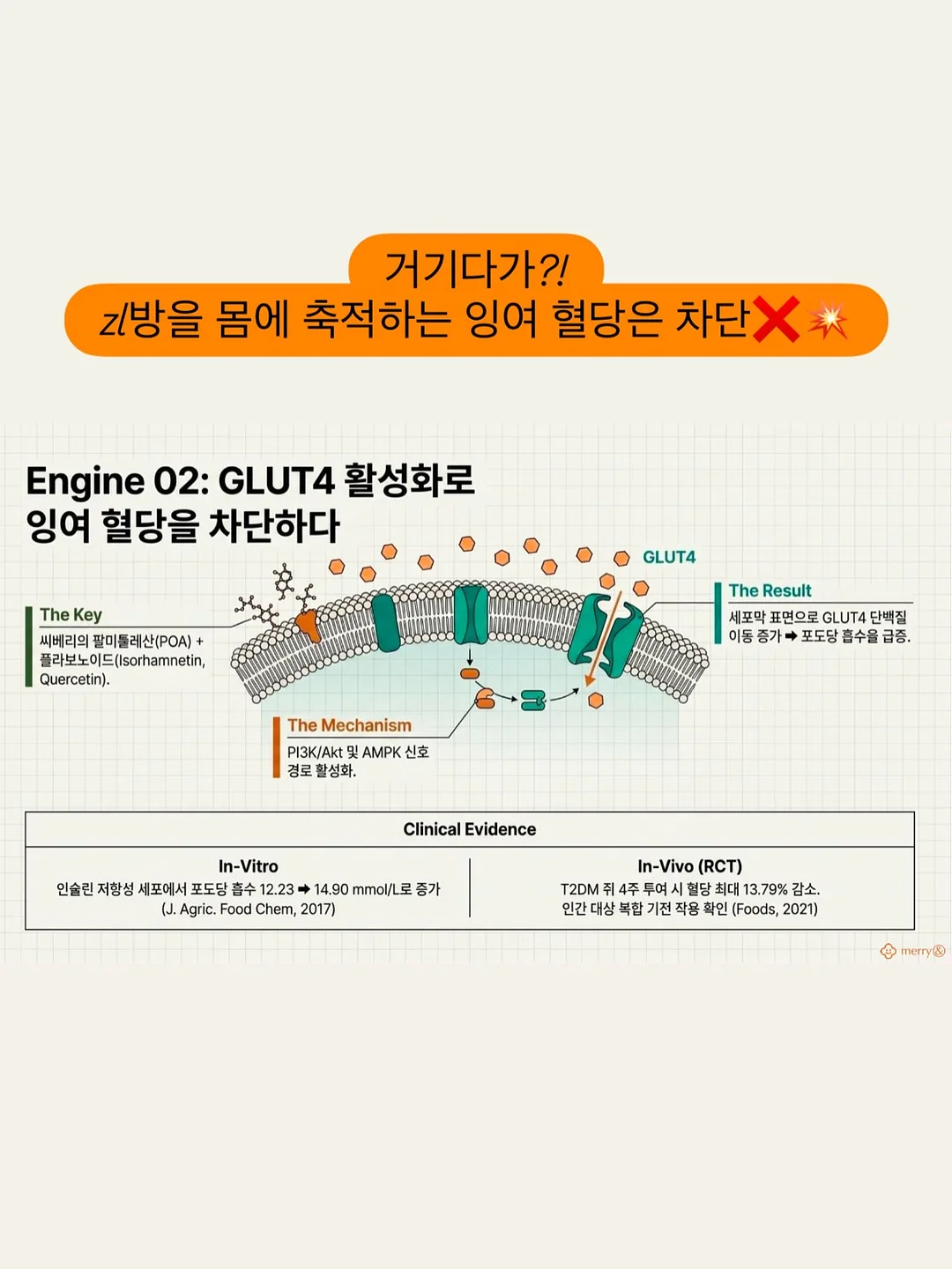 모리걸 키스컷 9