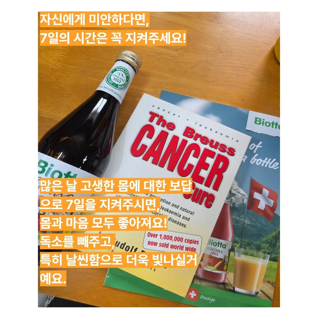 NASCHENKA 한국 전통 은공예 머리핀 3