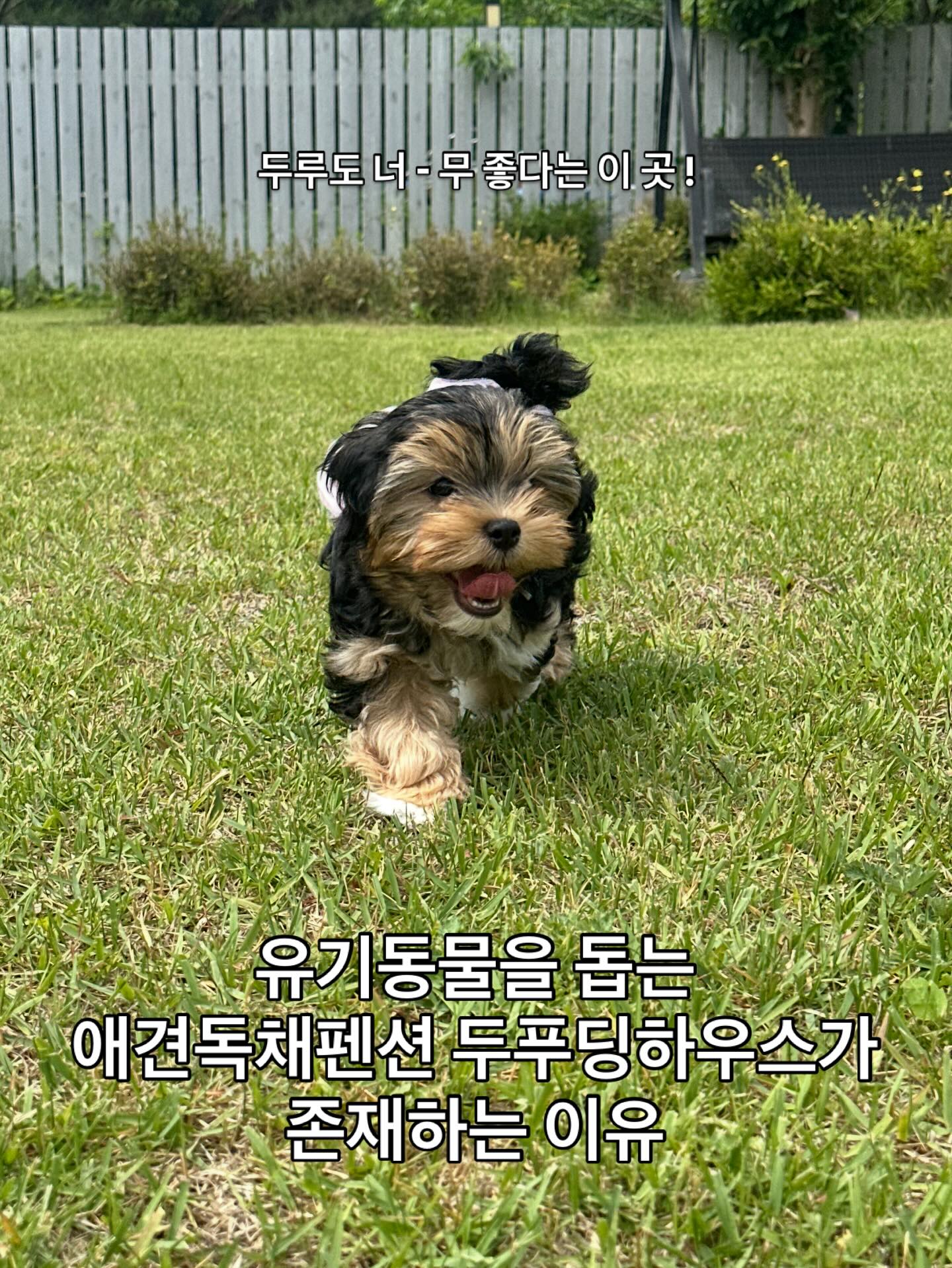 비건쌀 소금빵 1