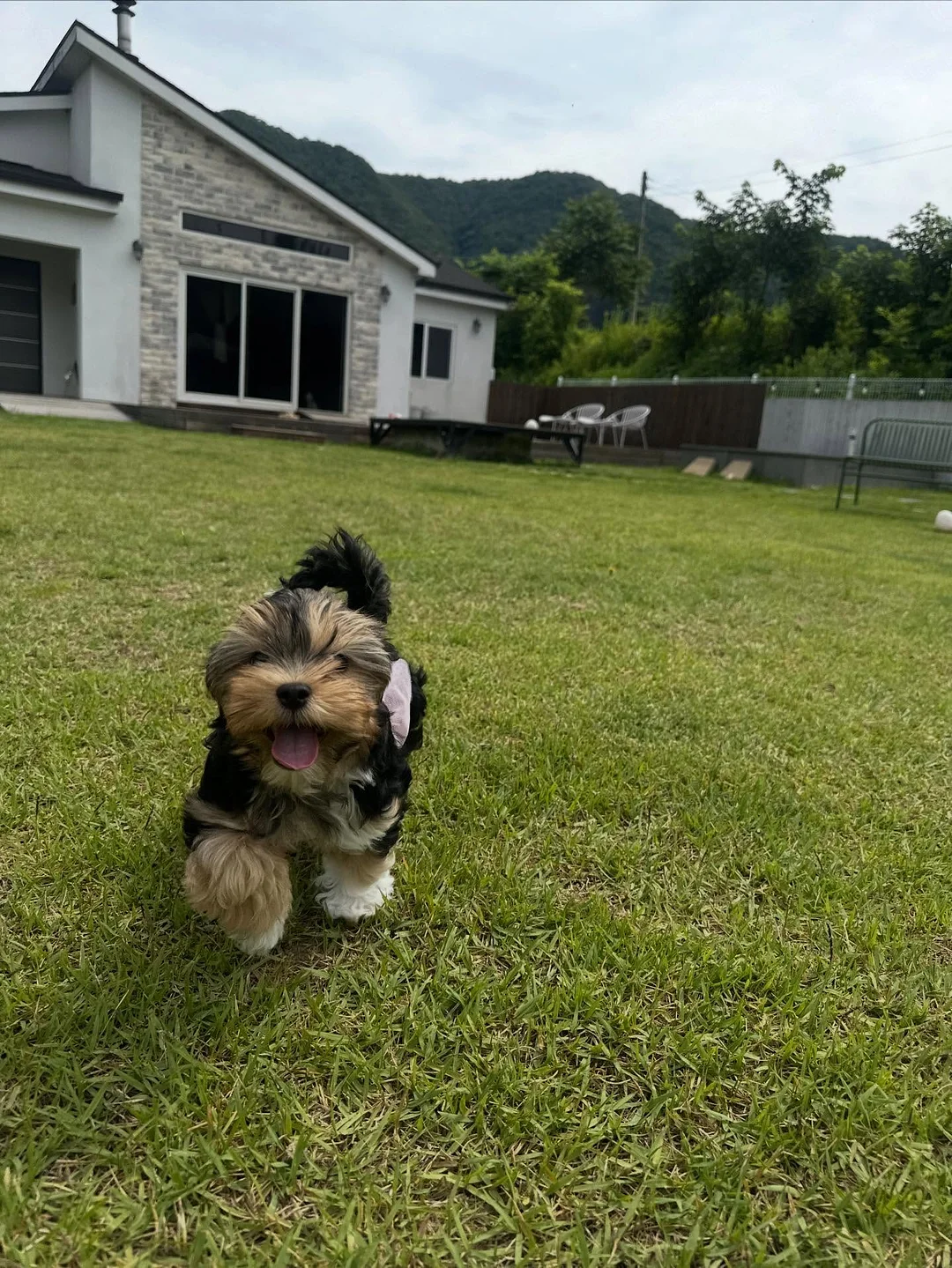 비건쌀 소금빵 7