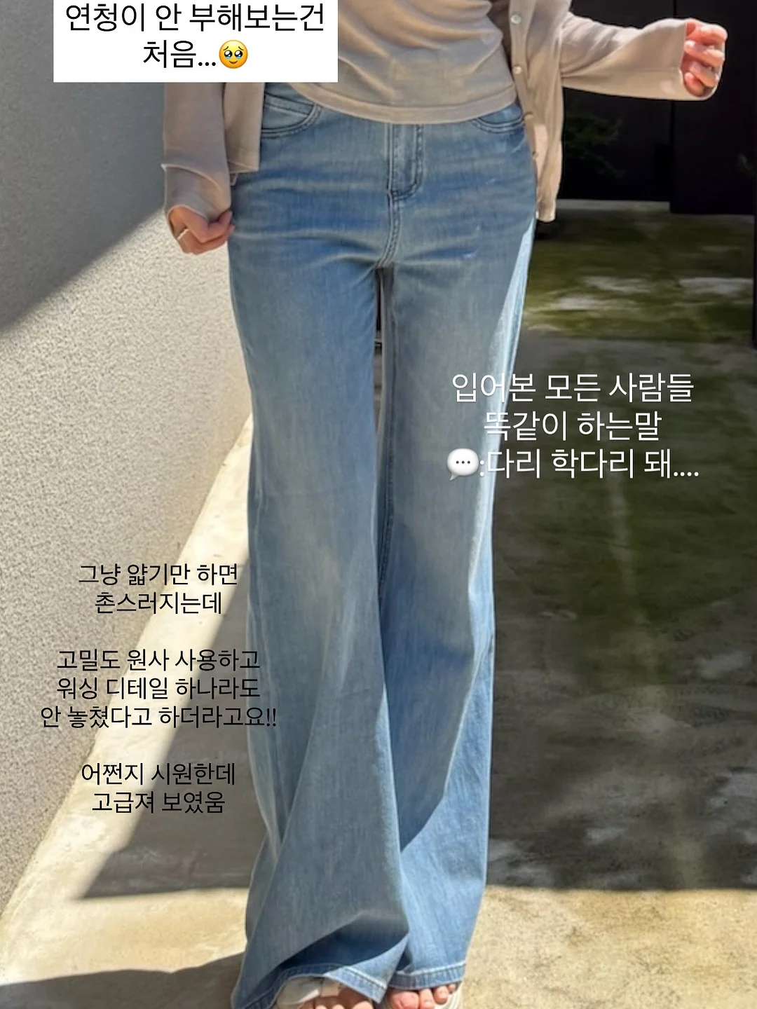 모니pt 6