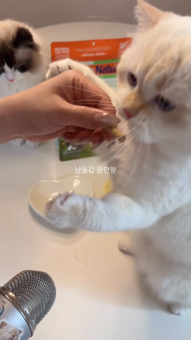 c컬펌