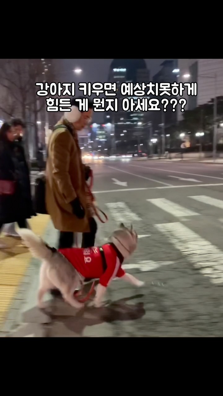 버블 퍼포먼스 바주카포