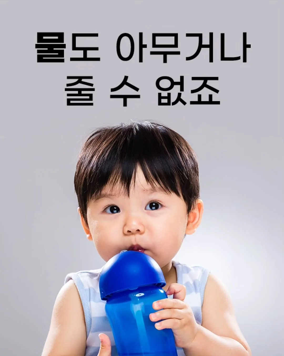 캠브로 캠트레이 4
