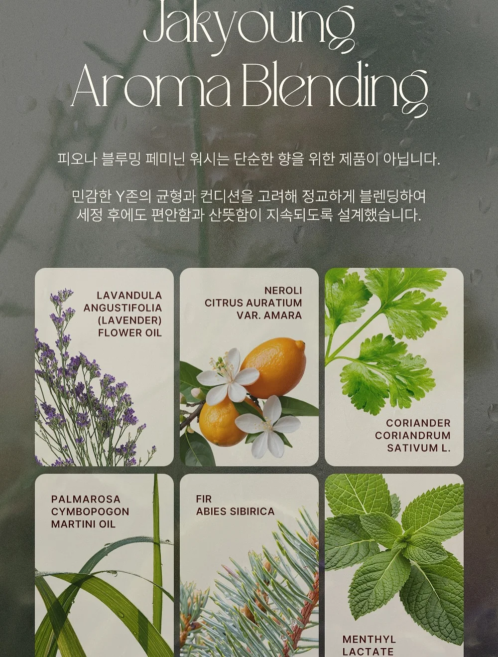 기묘사화 역사 동화 짓기 스터디 7