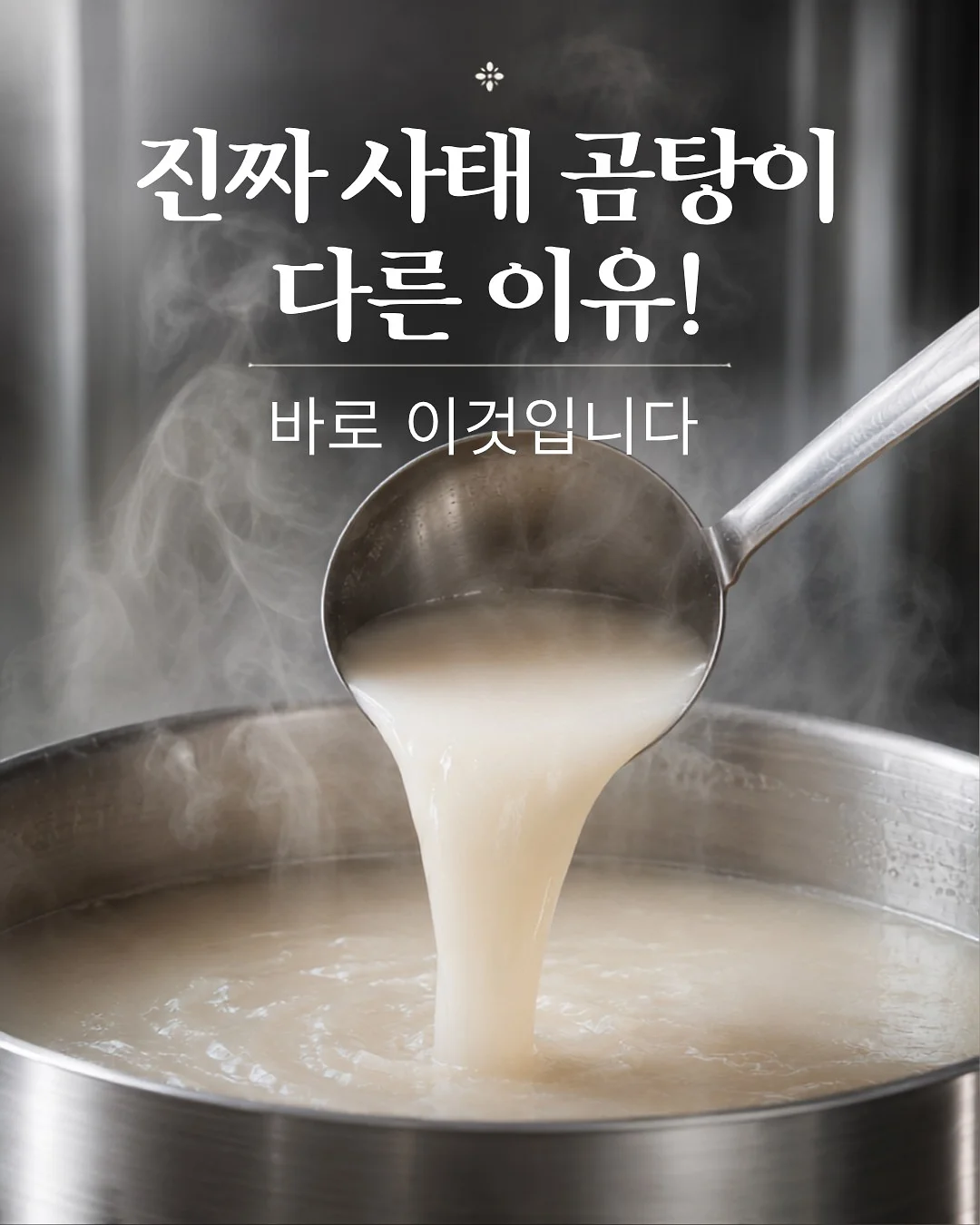 푸크닉 컨셉 의상 1