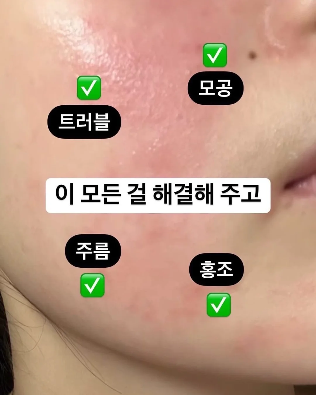 기아타이거즈 응원 도어벨 10