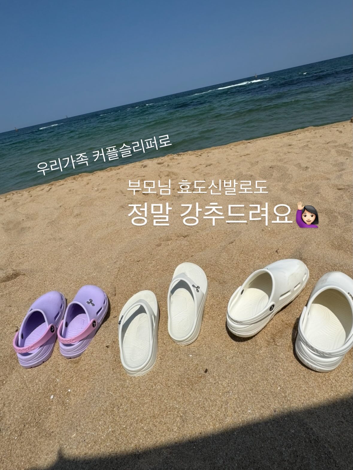 하늘꽃 20