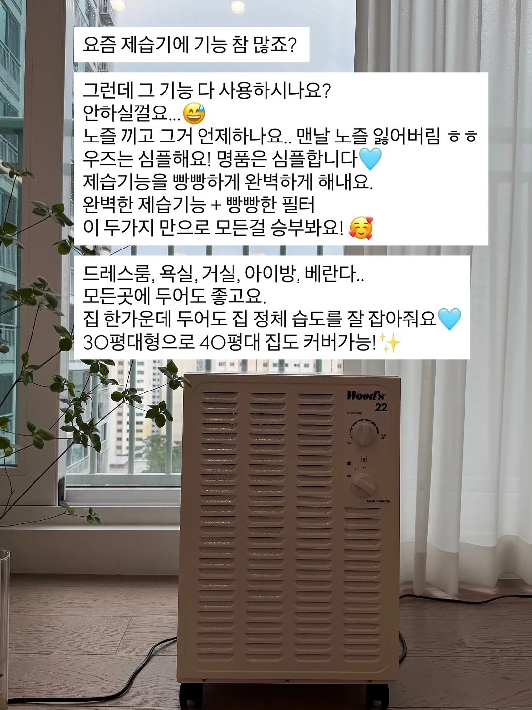 단청 금문 트윌리 1
