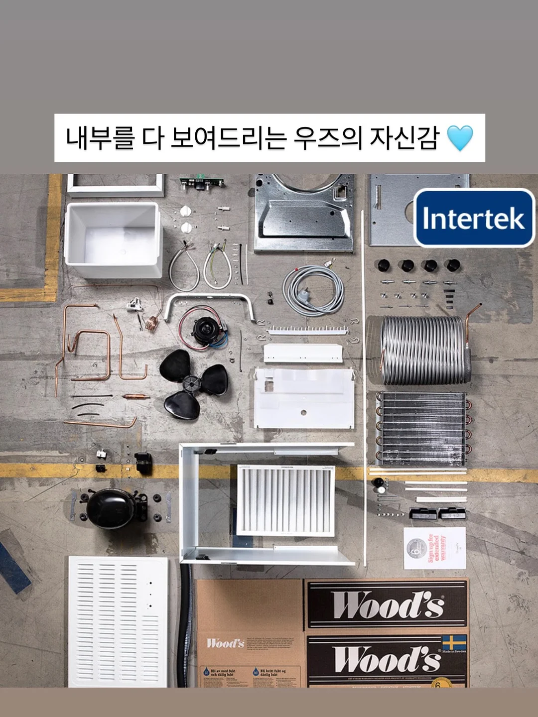 단청 금문 트윌리 6