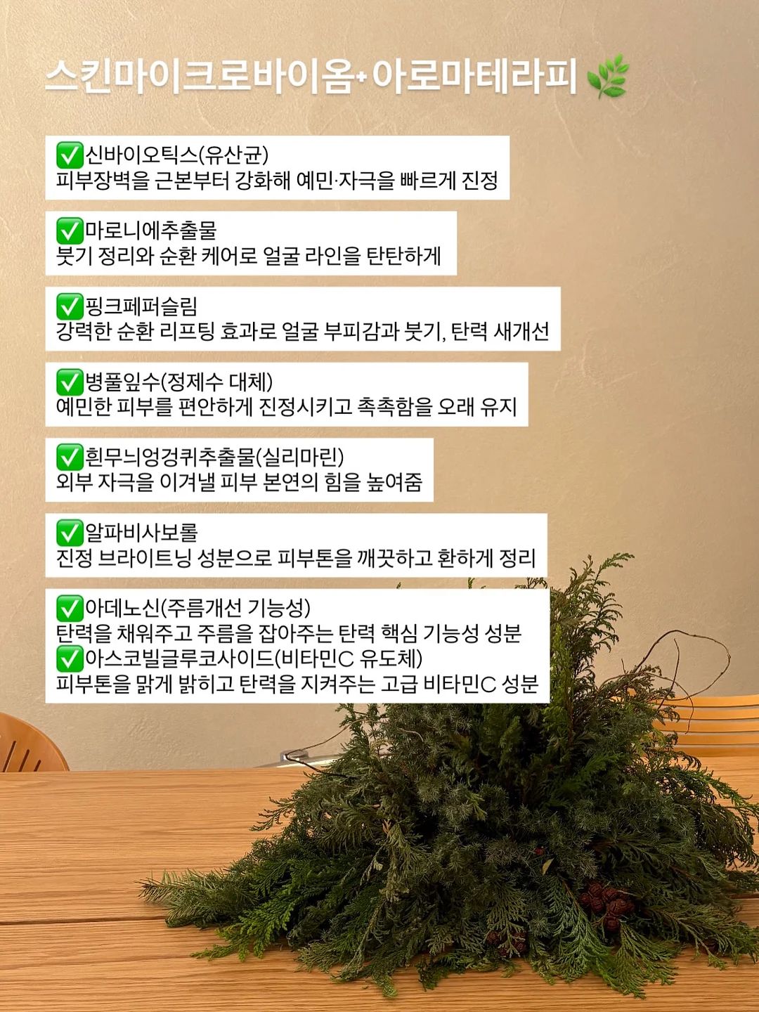 정관장 활기마이트 2