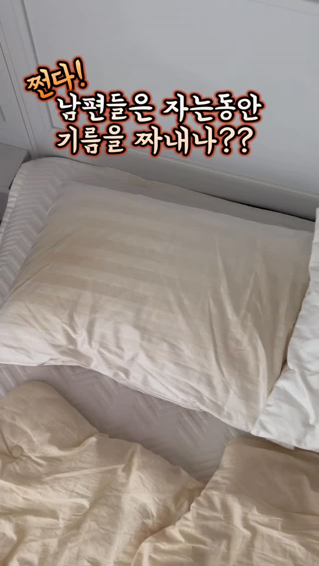 노탈리 타미텐 라인