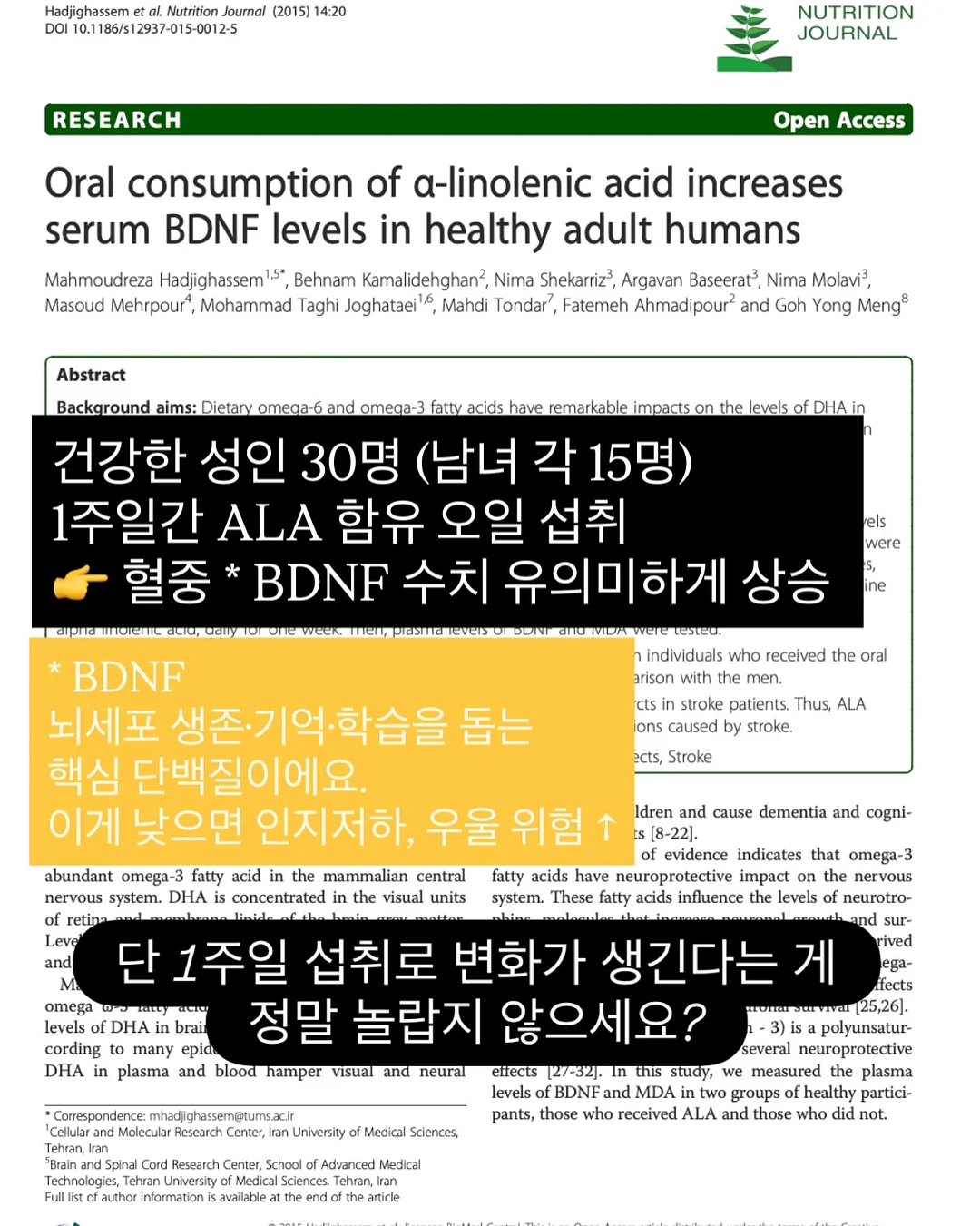 블루아플리케 앤틱패브릭 4