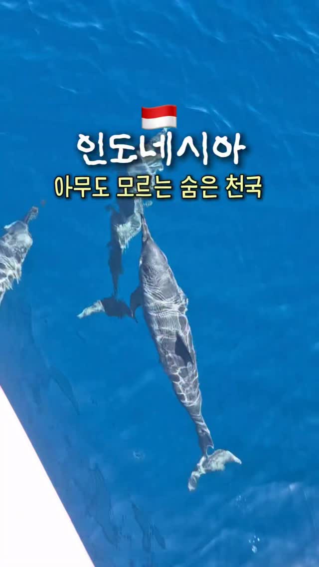 5.5톤 더뉴마이티 덤프