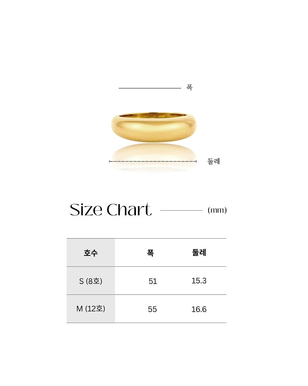 전도하고 싶어지는 책 12