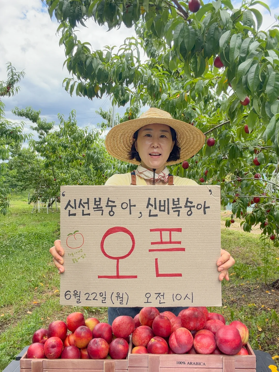 세제 로션 워시 1