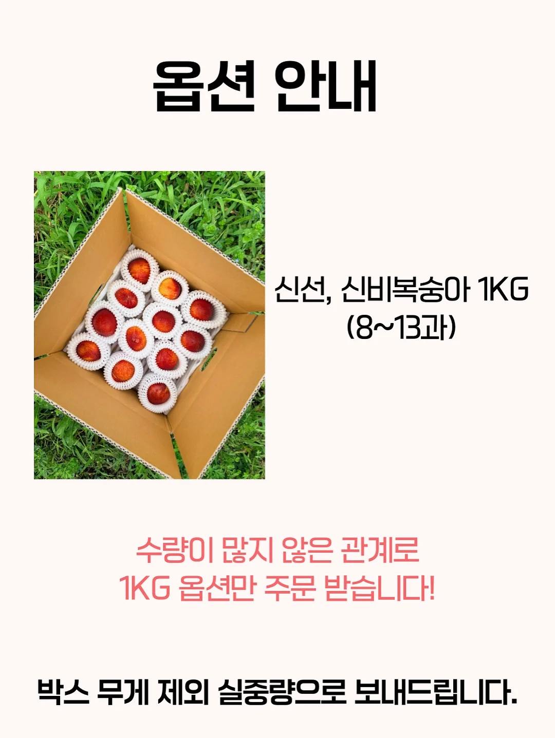 세제 로션 워시 4