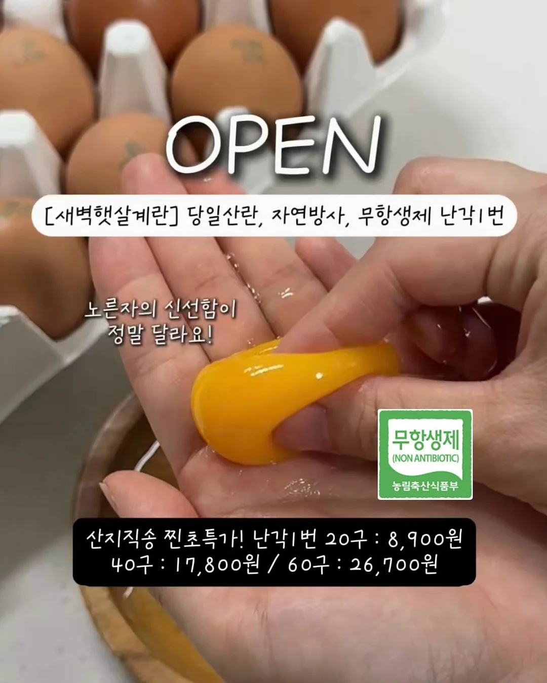 어노브 트래블 키트 1