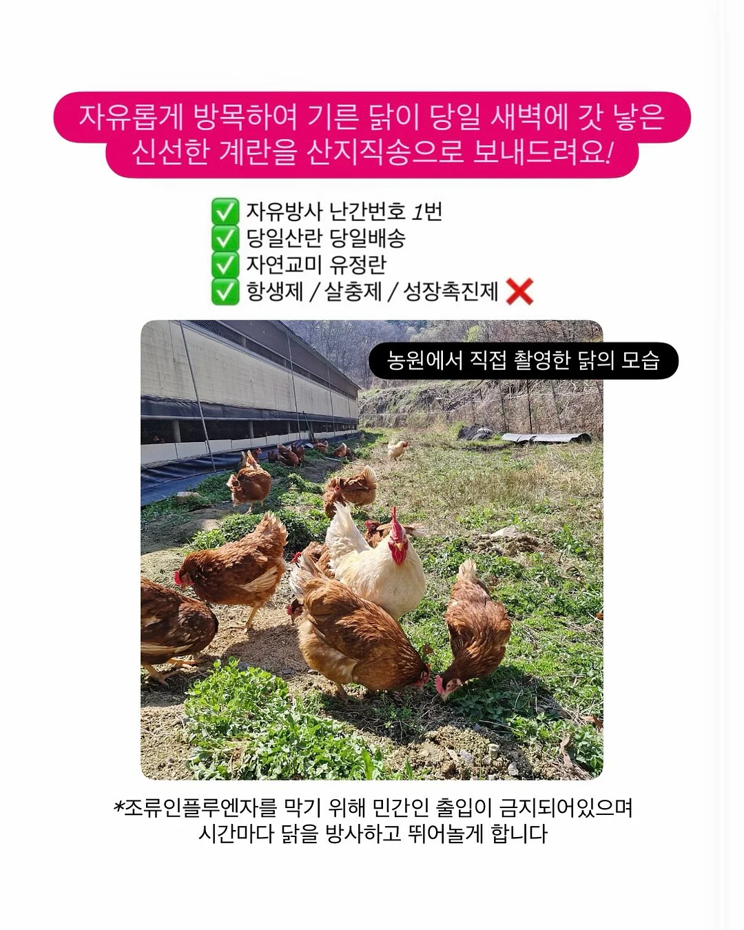 어노브 트래블 키트 5
