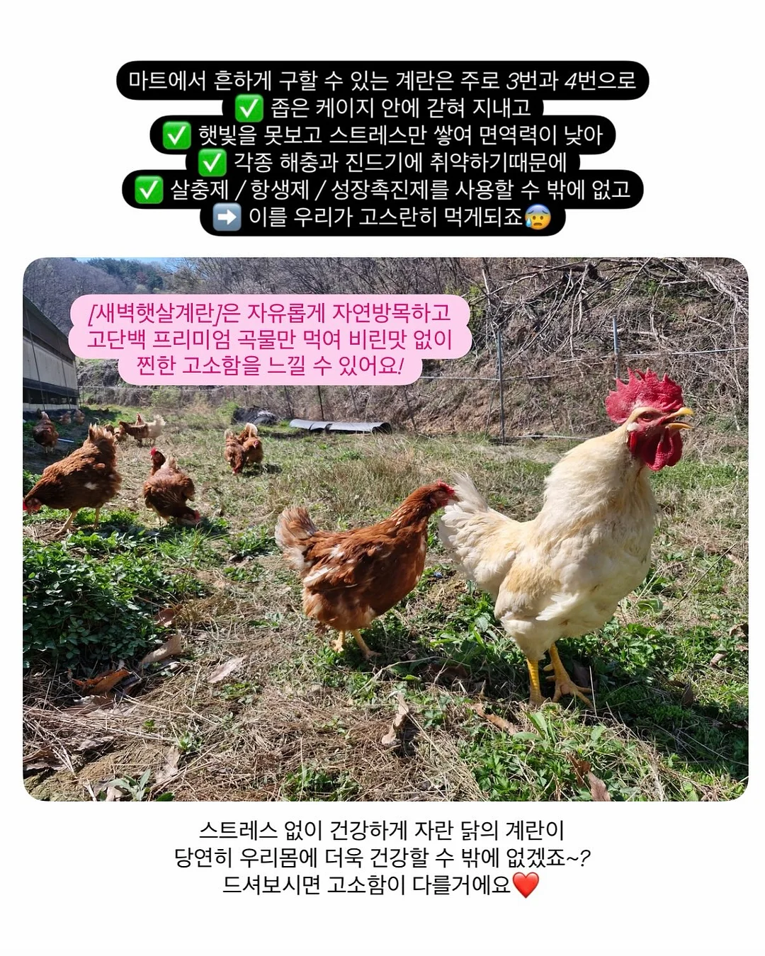 어노브 트래블 키트 6