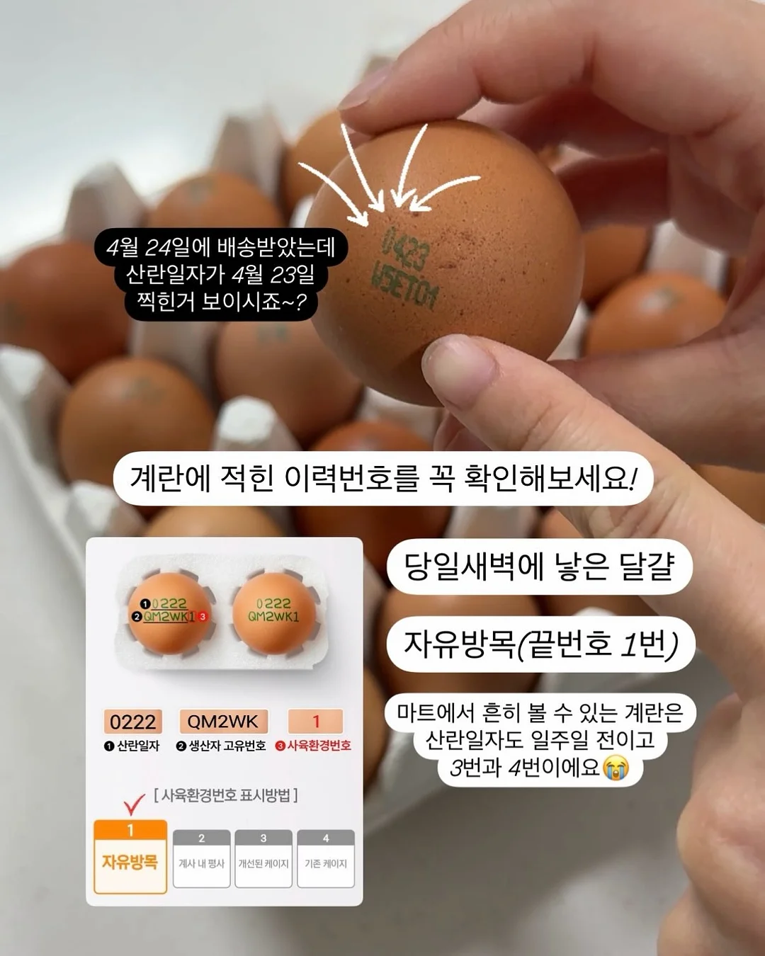어노브 트래블 키트 7