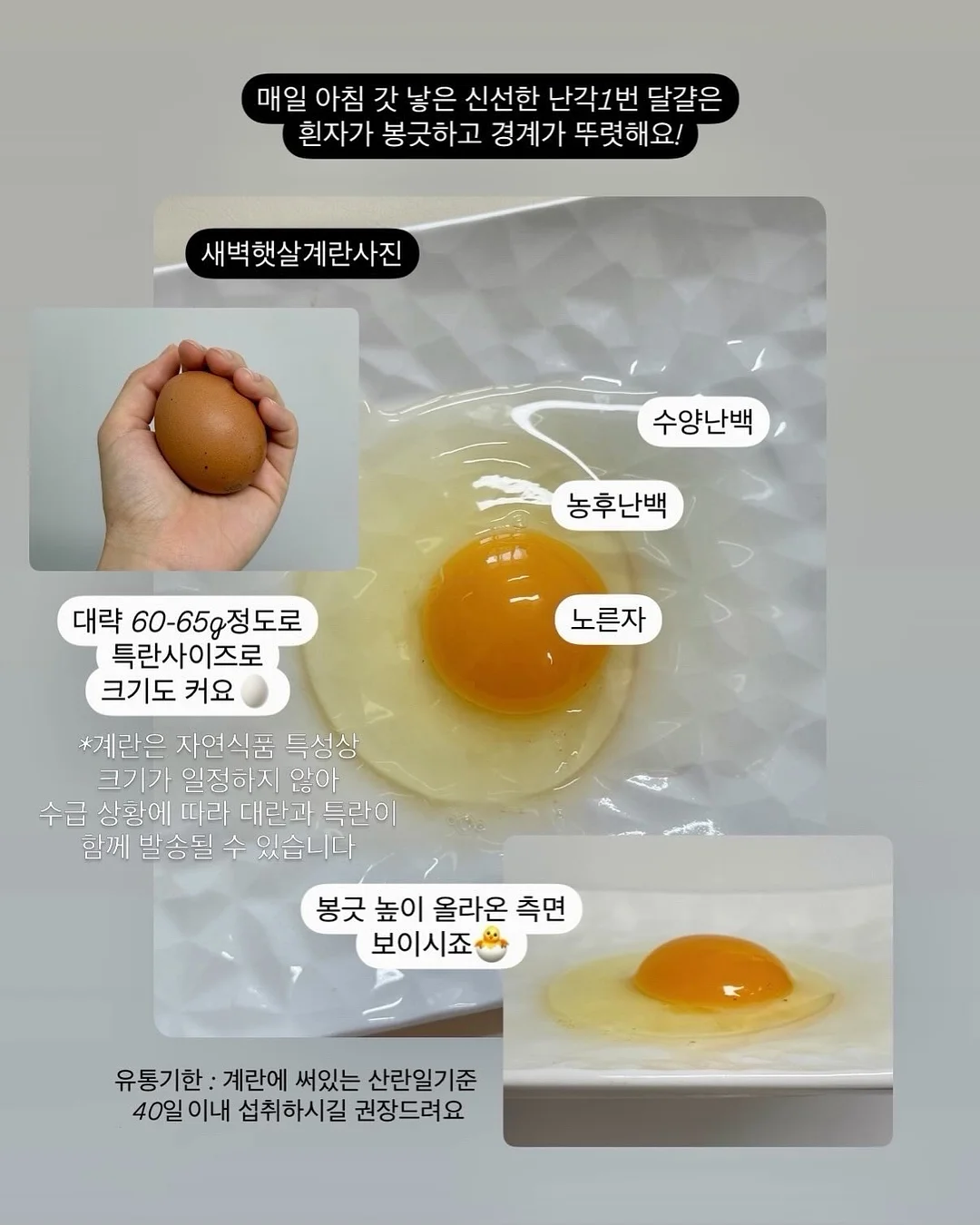 어노브 트래블 키트 8