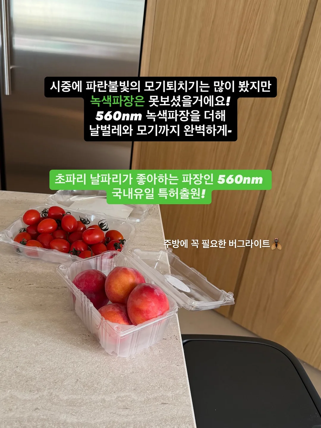 쁘샴이 12