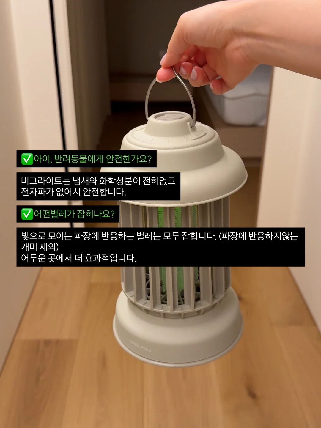 쁘샴이 10