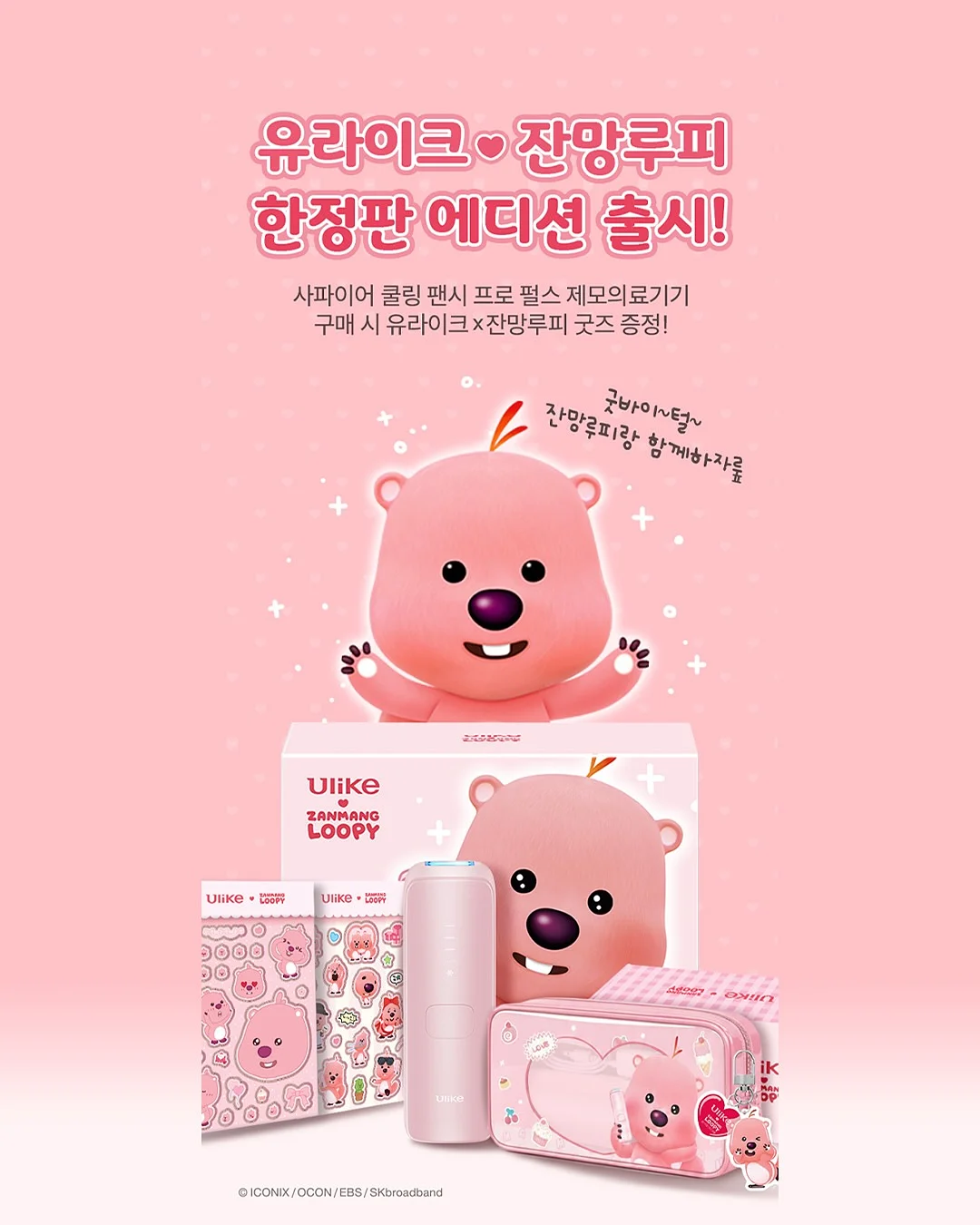 볼드 고마루 애끼 반지 1