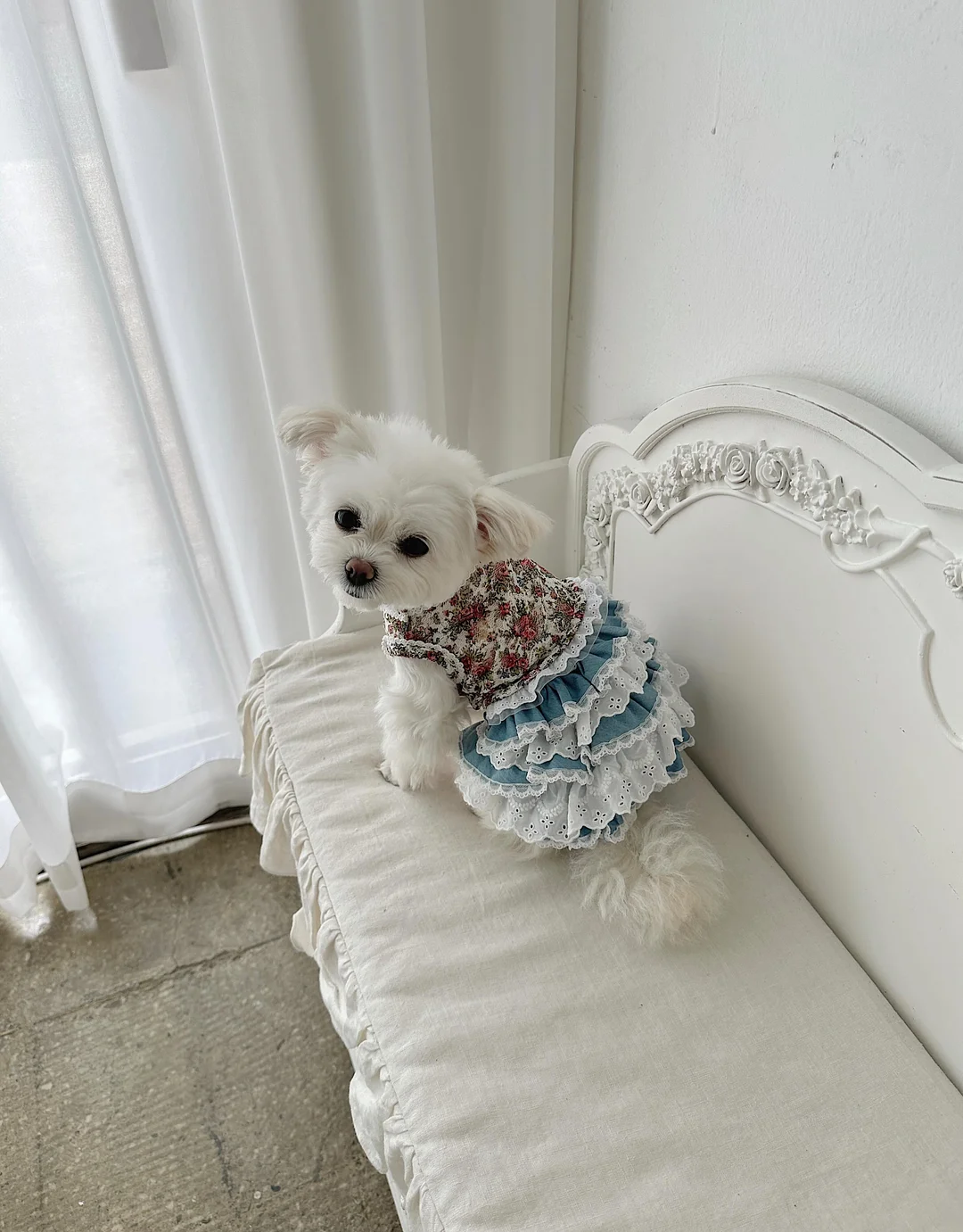 모녀하우스 썬바이저 3