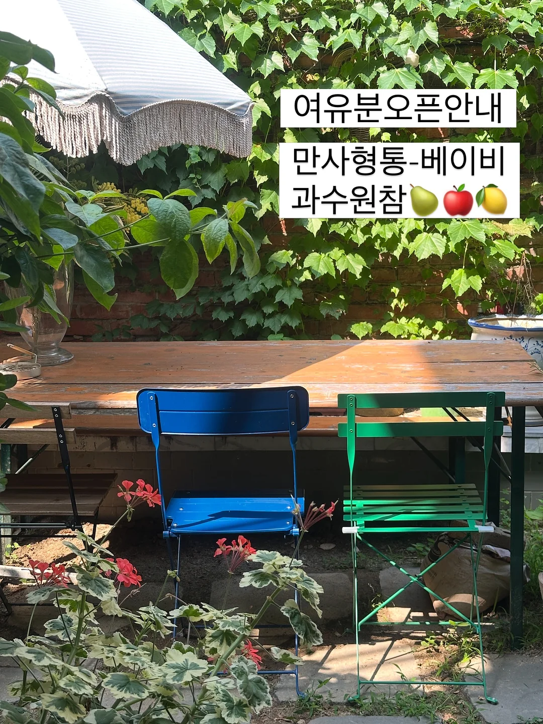아크보호소 간식 1