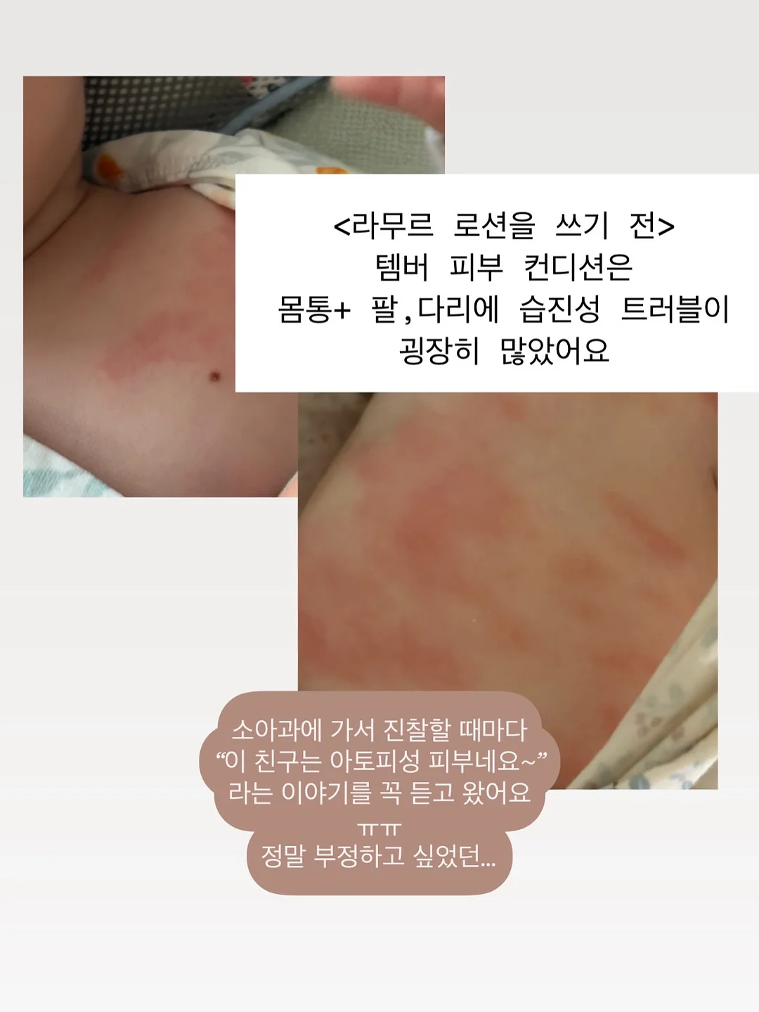 샌드위치, 천혜향 & 금귤 음료 베이스, 샐러드 드레싱, 엑스트라버진 올리브 오일 2