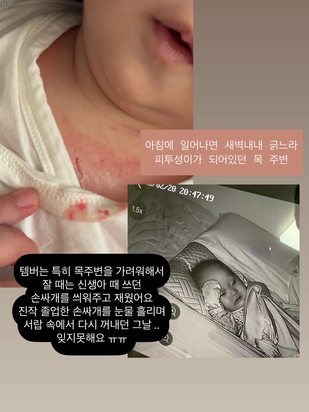 샌드위치, 천혜향 & 금귤 음료 베이스, 샐러드 드레싱, 엑스트라버진 올리브 오일 3