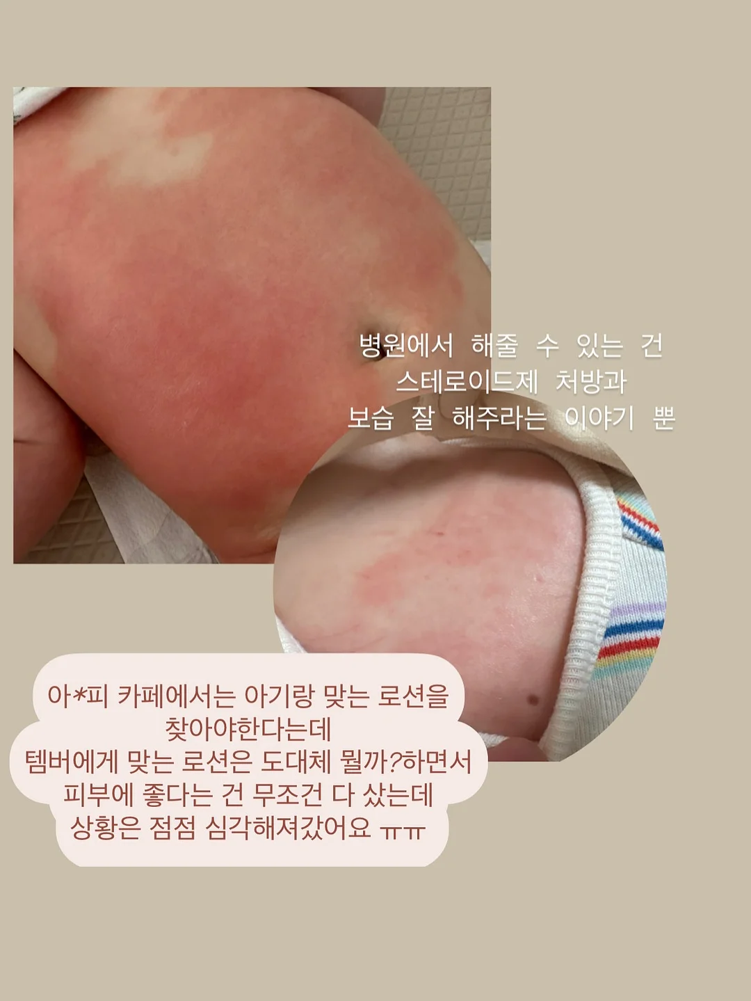 샌드위치, 천혜향 & 금귤 음료 베이스, 샐러드 드레싱, 엑스트라버진 올리브 오일 5