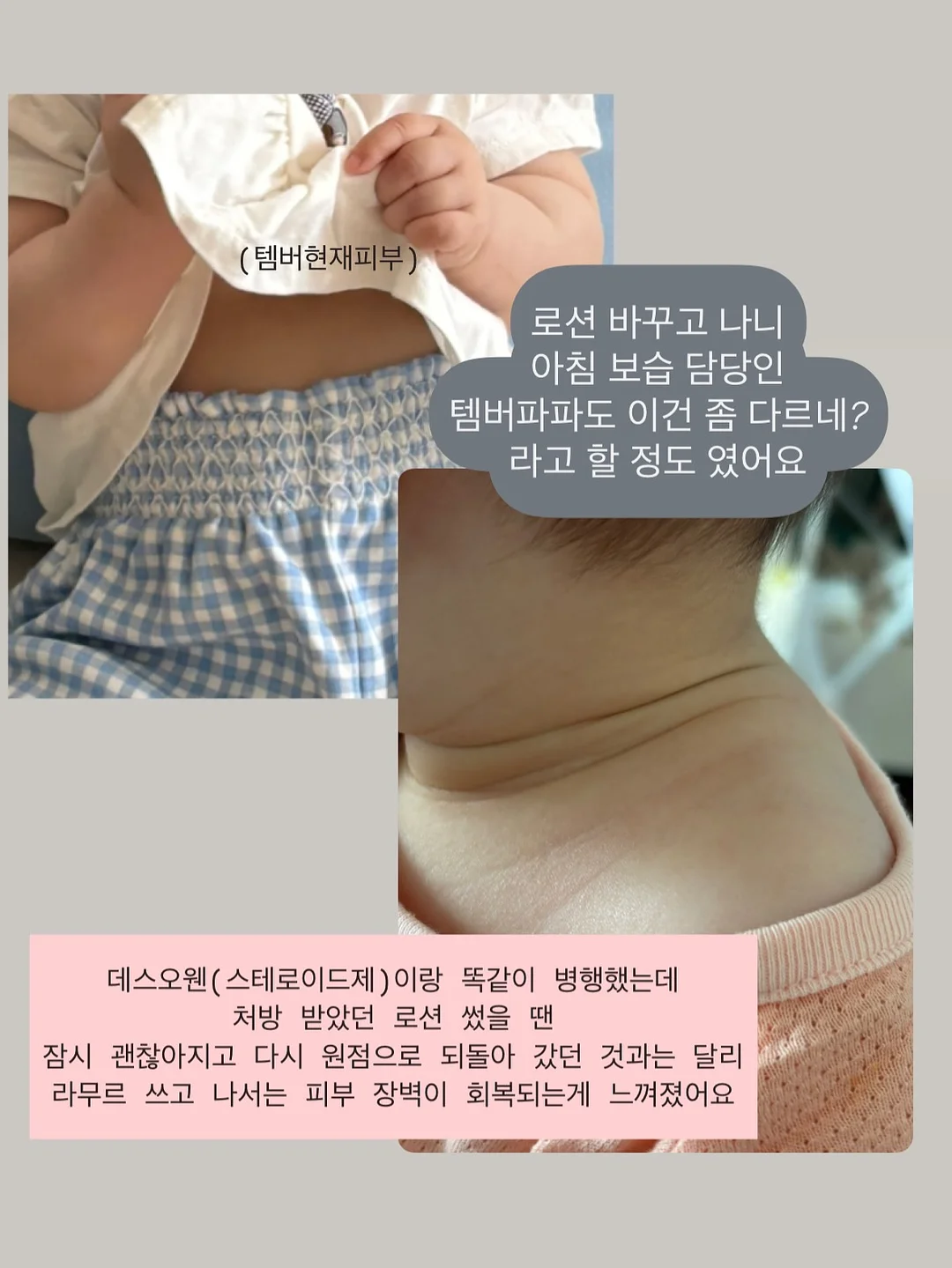 샌드위치, 천혜향 & 금귤 음료 베이스, 샐러드 드레싱, 엑스트라버진 올리브 오일 7