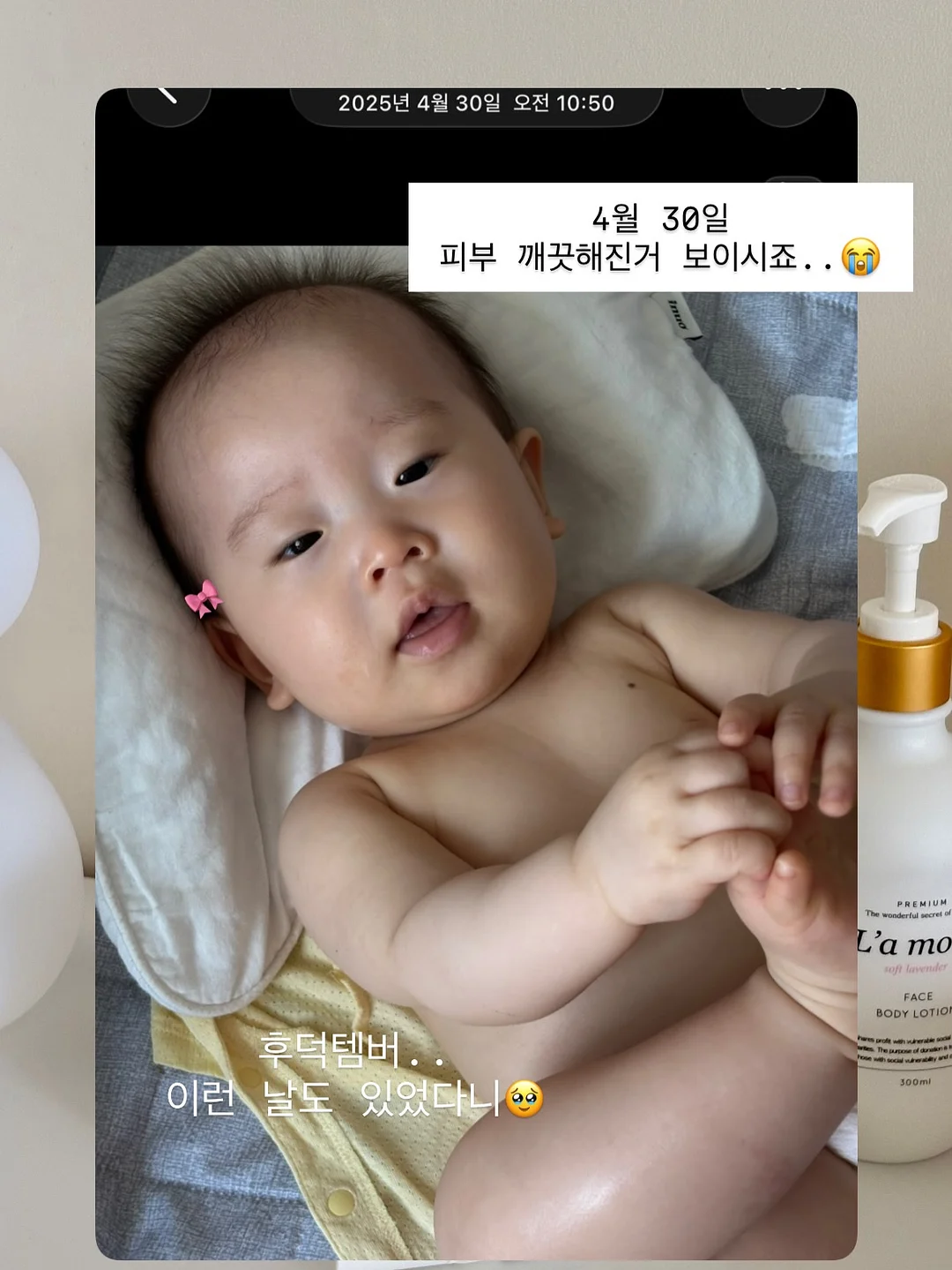 샌드위치, 천혜향 & 금귤 음료 베이스, 샐러드 드레싱, 엑스트라버진 올리브 오일 9