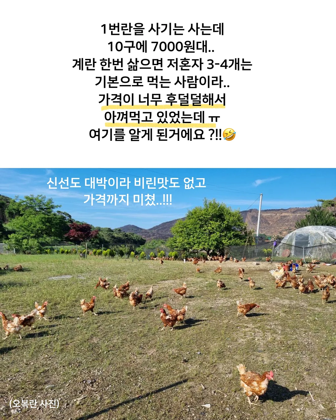 토퍼창업클래스 15