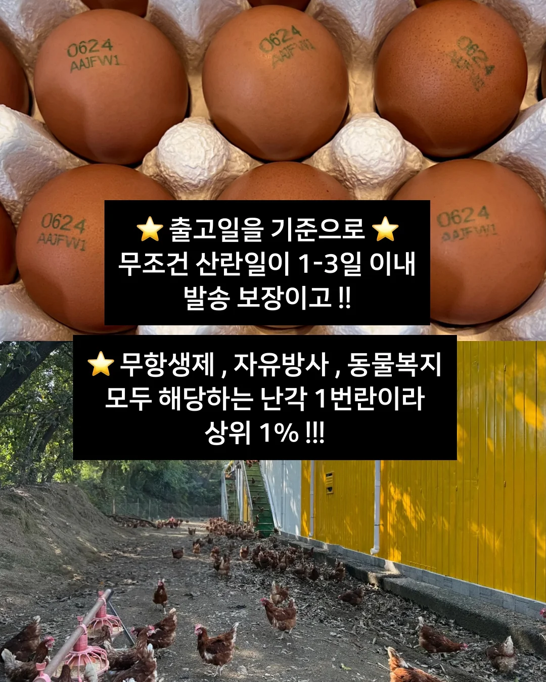 토퍼창업클래스 19