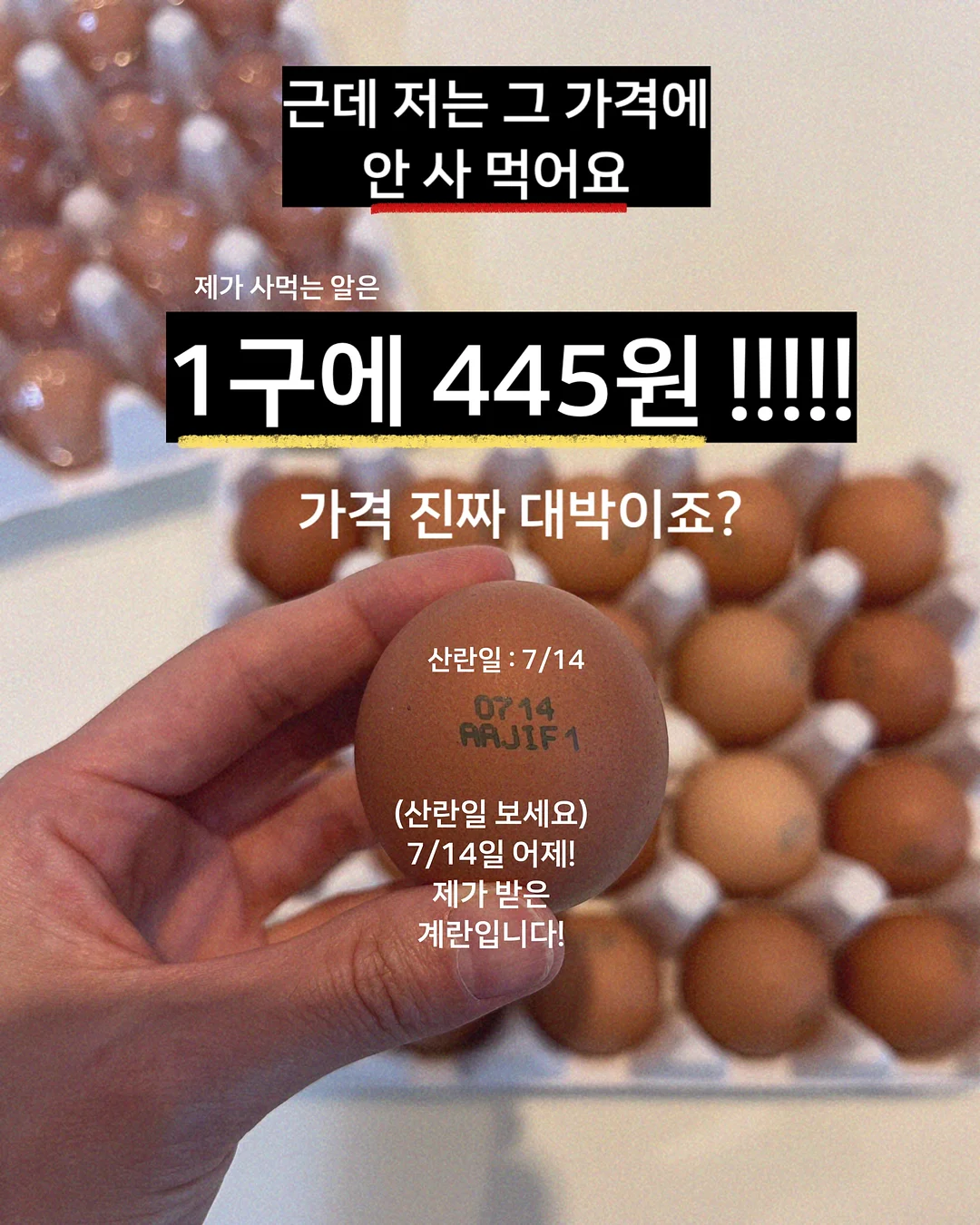 토퍼창업클래스 5