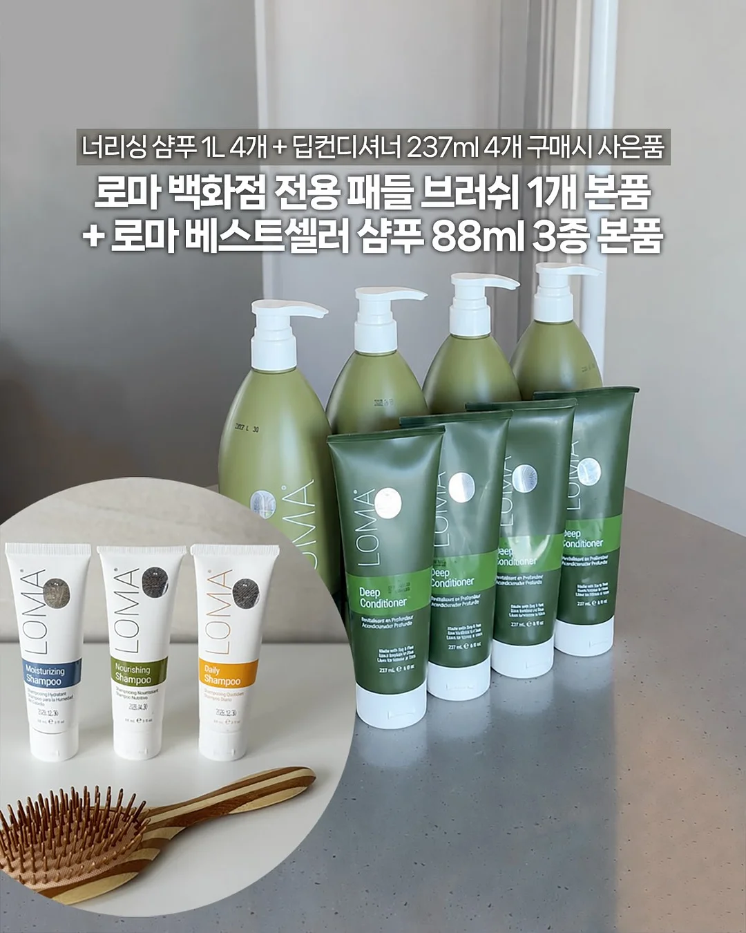 올리브나무 6