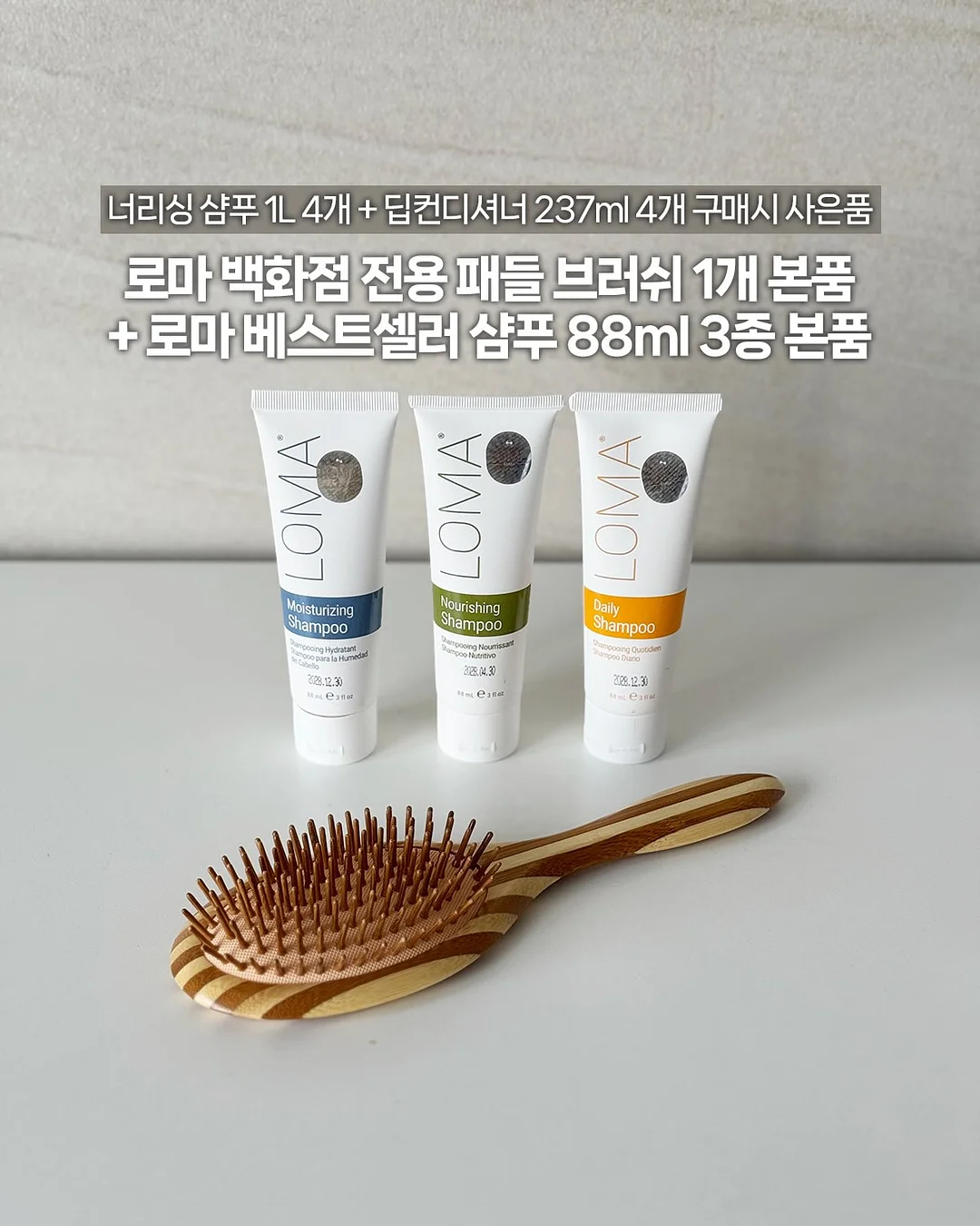 올리브나무 7