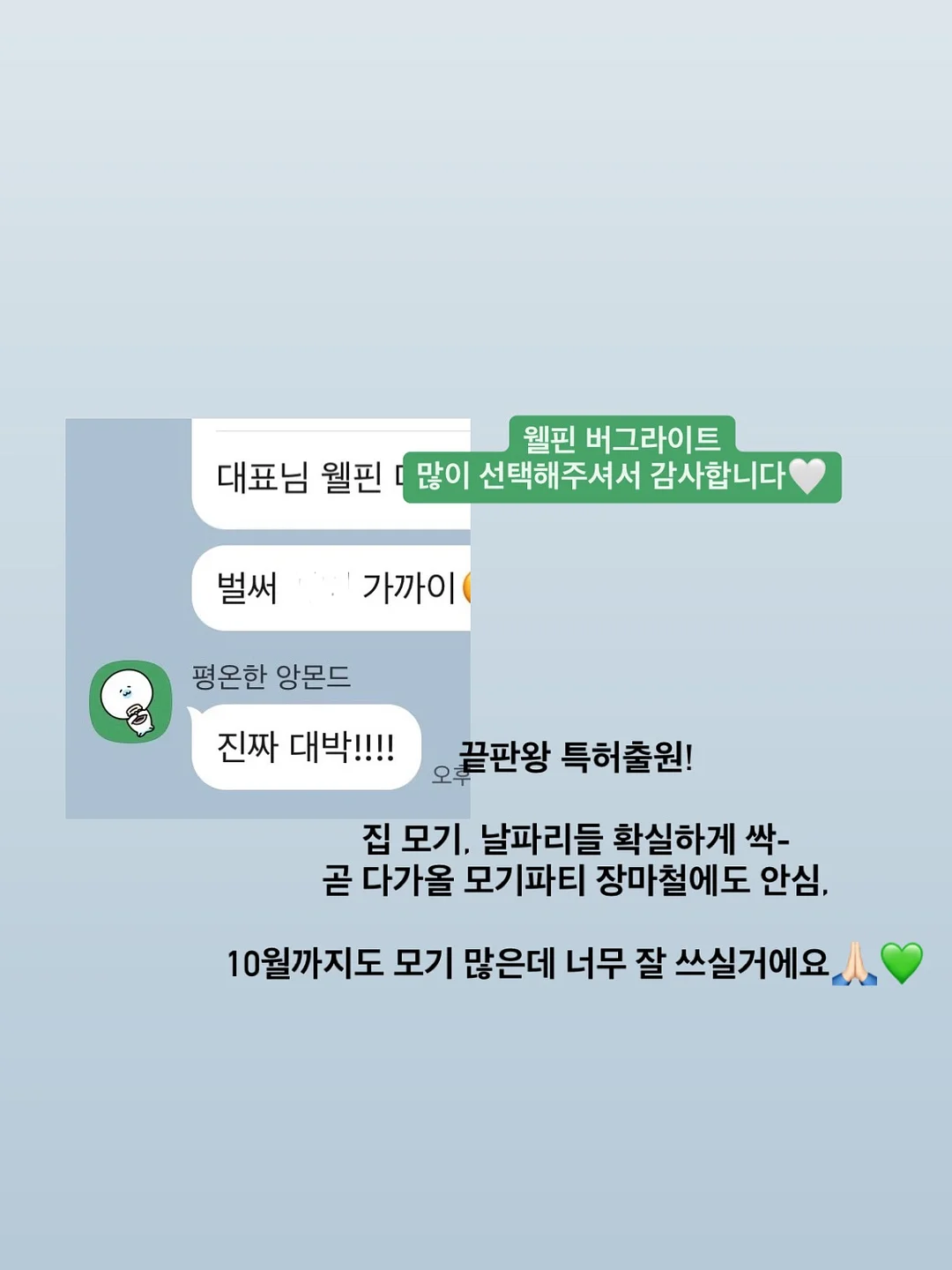 식물 고정 클립 12